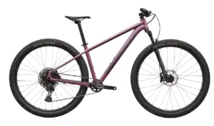 BICICLETA SPECIALIZED ROCKHOPPER EXPERT 29 GLOSS SATIN QUARTZ METALLIC/ MAUVE METALLIC